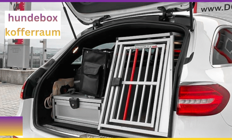 hundebox kofferraum