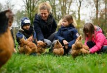 Fitness-Trends und Ernährungsbewusstsein: Warum Nahrungsergänzung zum aktiven Lebensstil Ernährungsbewusstsein