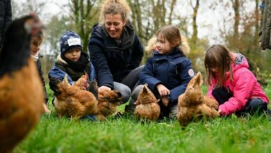 Ernährungsbewusstsein