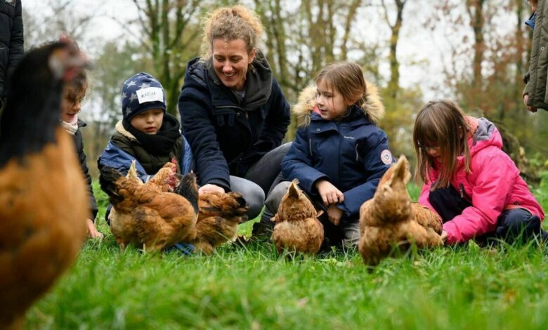 Fitness-Trends und Ernährungsbewusstsein: Warum Nahrungsergänzung zum aktiven Lebensstil Ernährungsbewusstsein