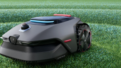 Einfache Gartenplanung: Wann und wie oft sollten Sie Ihren Rasen mähen? Einfache Gartenplanung